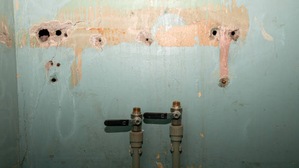 Best Water damage contractors near me  in Joliet, IL