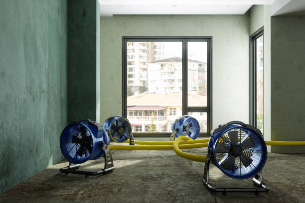 Joliet, IL Water damage restoration Company